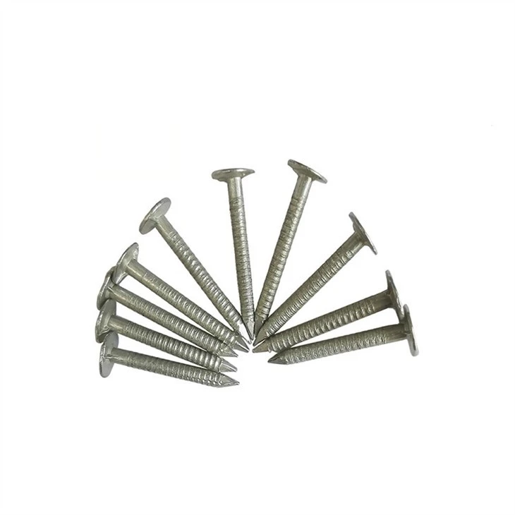 flat-head-ring-shank-screw-nails49236940139