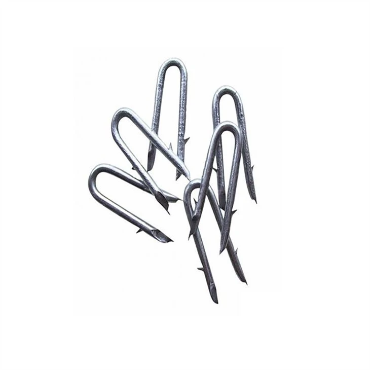 stainless-steel-u-nails43451251770
