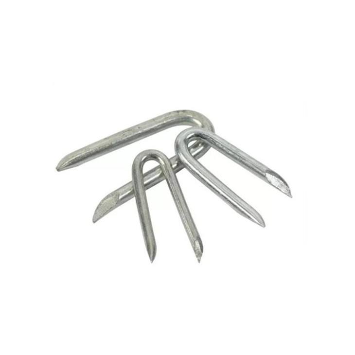 Fence Staples U Type Nails