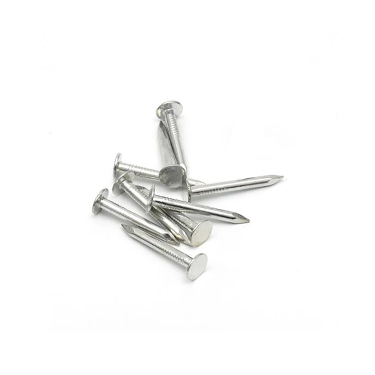 Galvanized Big Flat Head Nail
