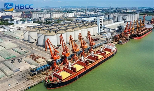 Logística global y soluciones de entrega-a tiempo|Exportación de productos de...