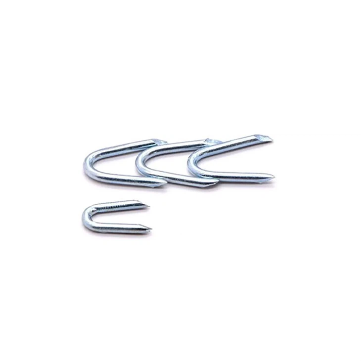 Proveedor de clavos largos en forma de U